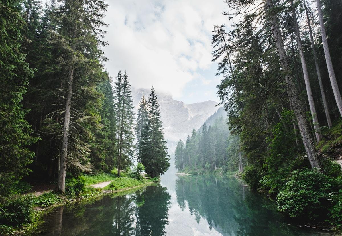 Environmental and Sustainability Careers for Indian Students Abroad