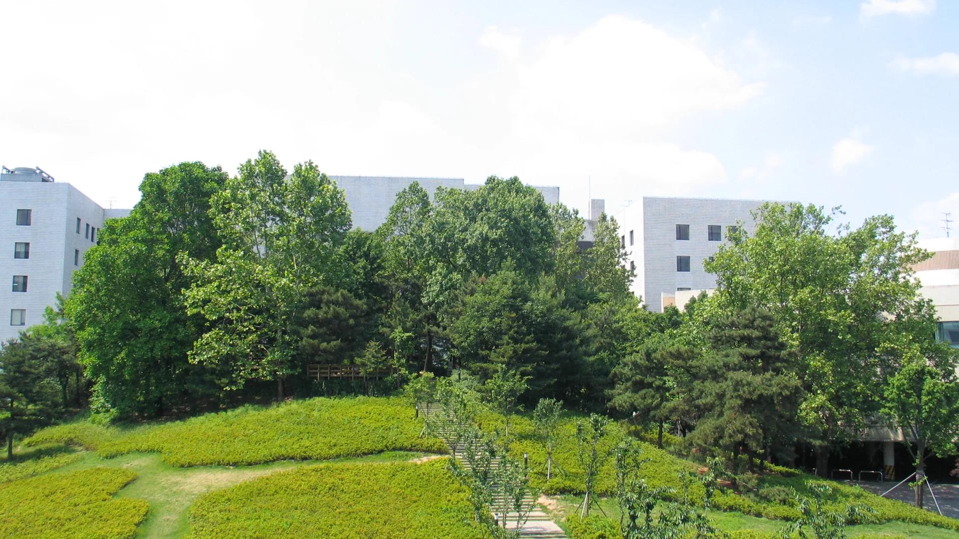 Korea University campus