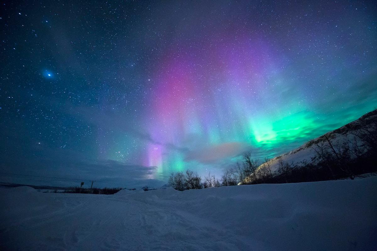 Northern lights over a Finnish landscape representing study opportunities in Finland for Indian students