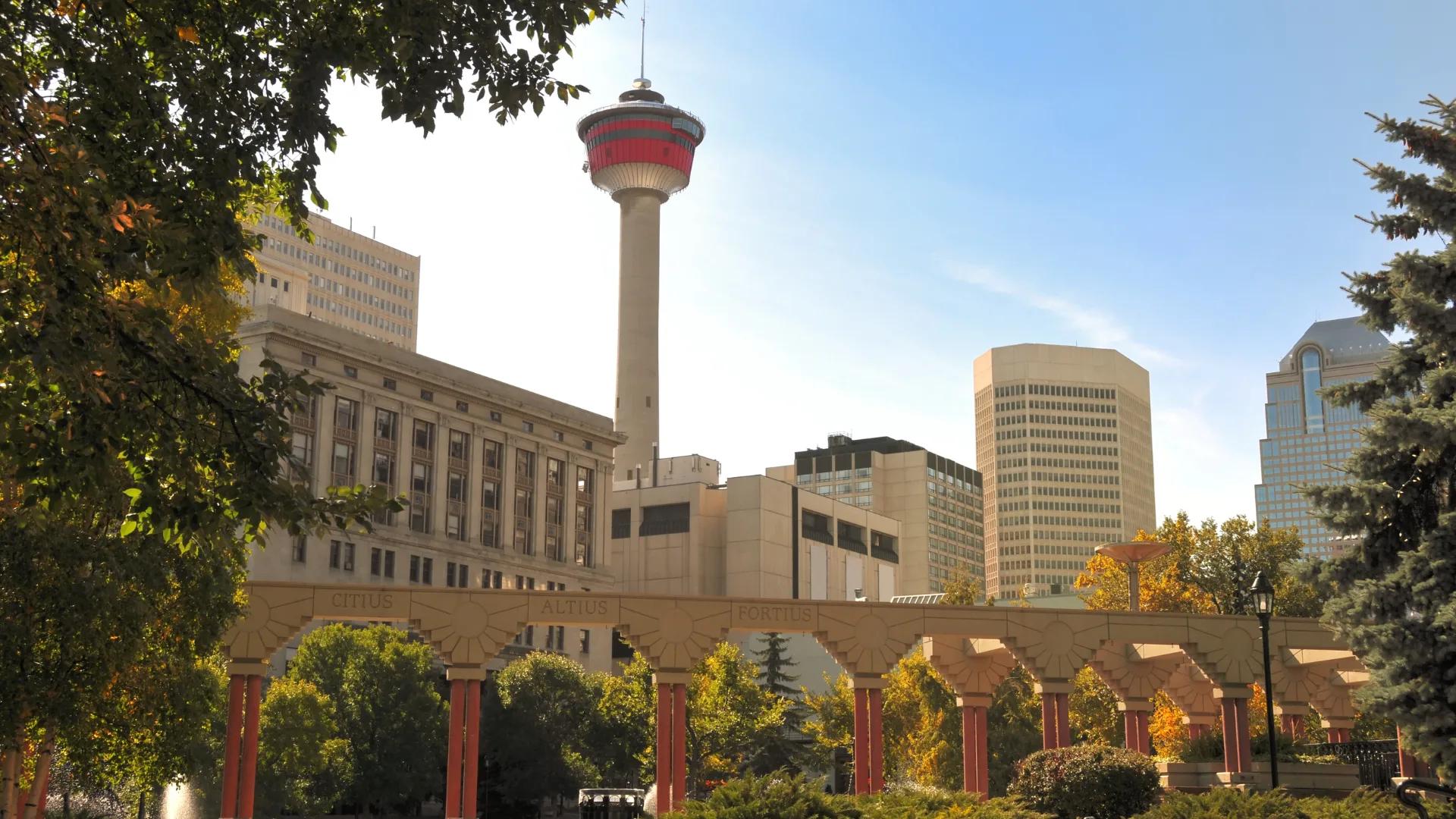 University of Calgary campus