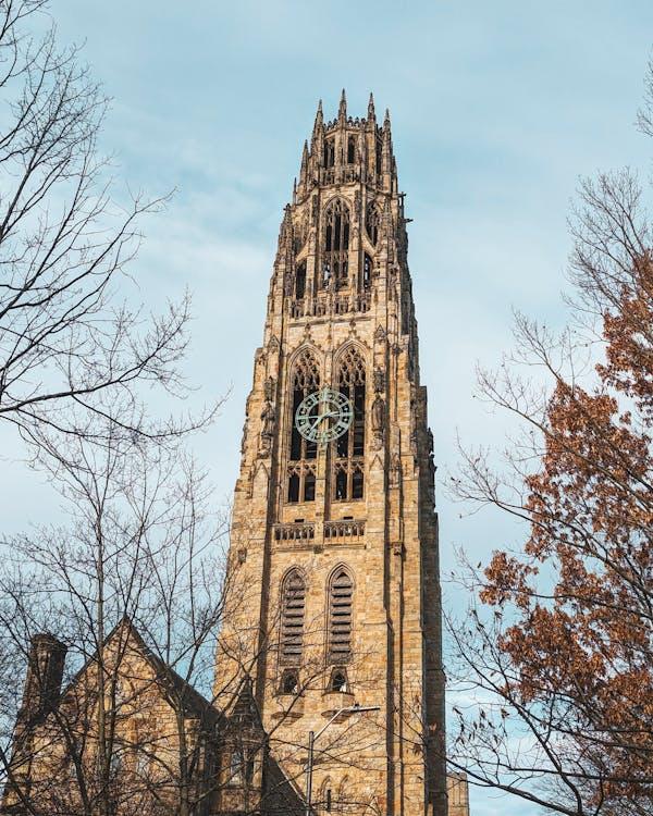 Yale University campus
