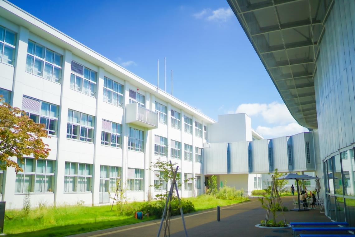 IIM Mumbai’s New Bachelor’s Degree: ...