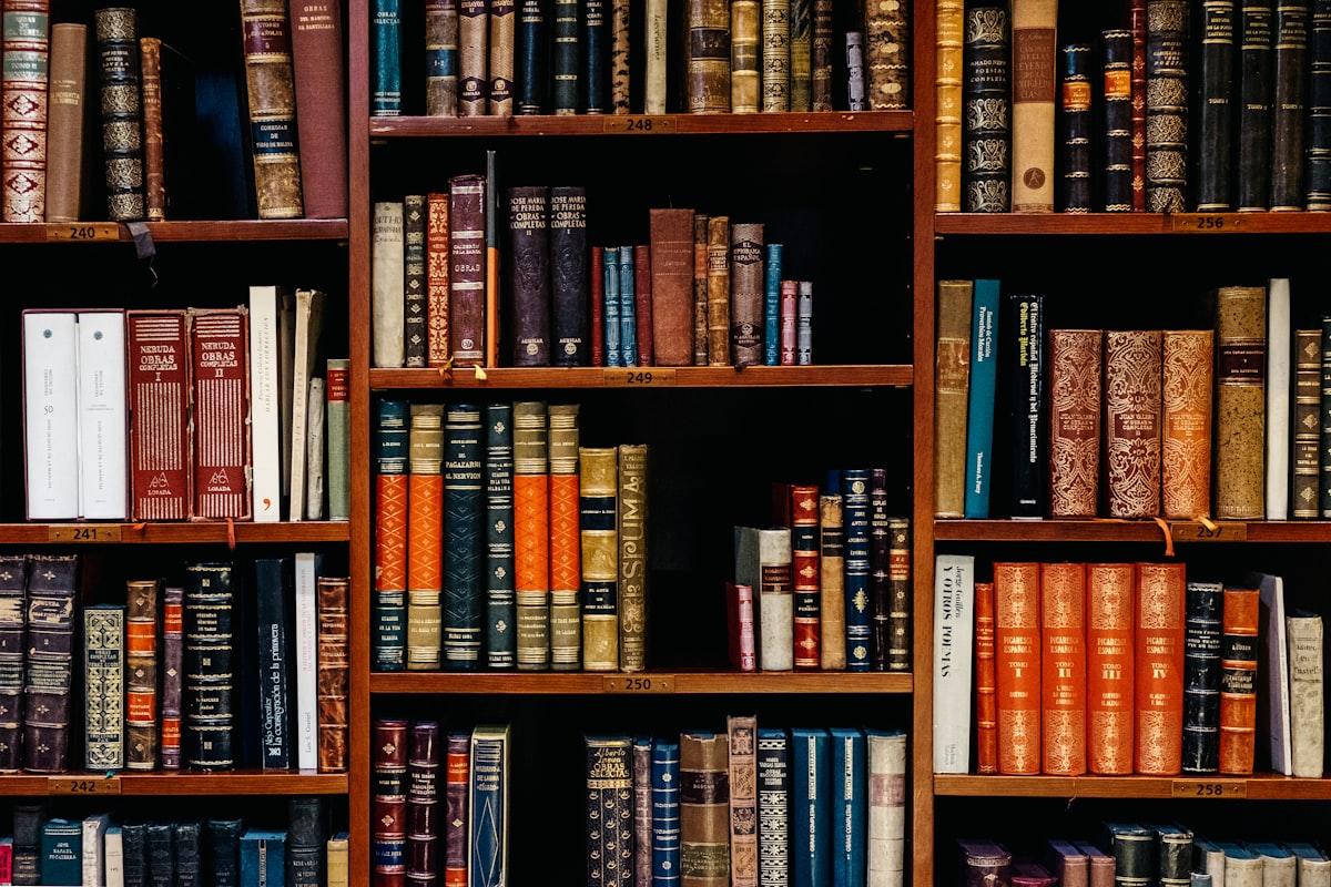 International Law Career Paths: What You Can Do with an LLM Abroad