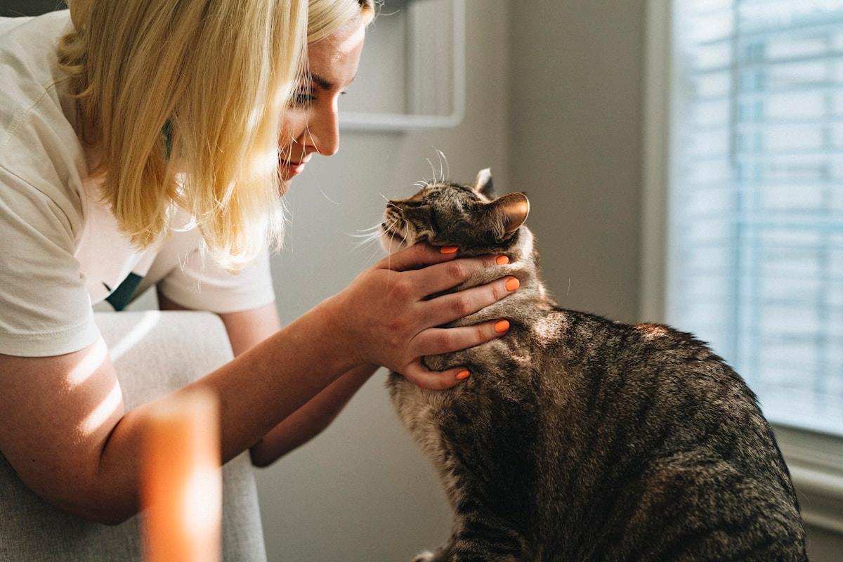 Veterinary Medicine Abroad for Indian Students: Top Countries and Programmes