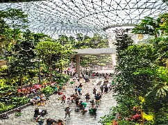 Why Singapore is a Great Study-Abroad Destination: Safe, Multicultural, and Thriving
