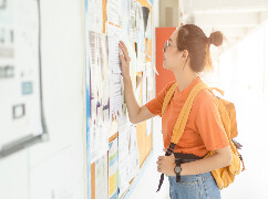 Post Graduation Courses: Guide to Choosing the Right Path