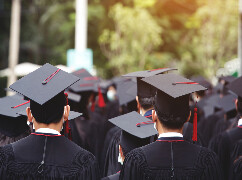 Diploma Courses in New Zealand for Indian Students
