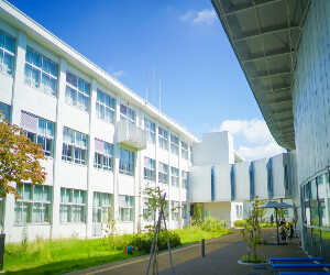 IIM Mumbai’s New Bachelor’s Degree: BS in Digital Sciences and Business Management