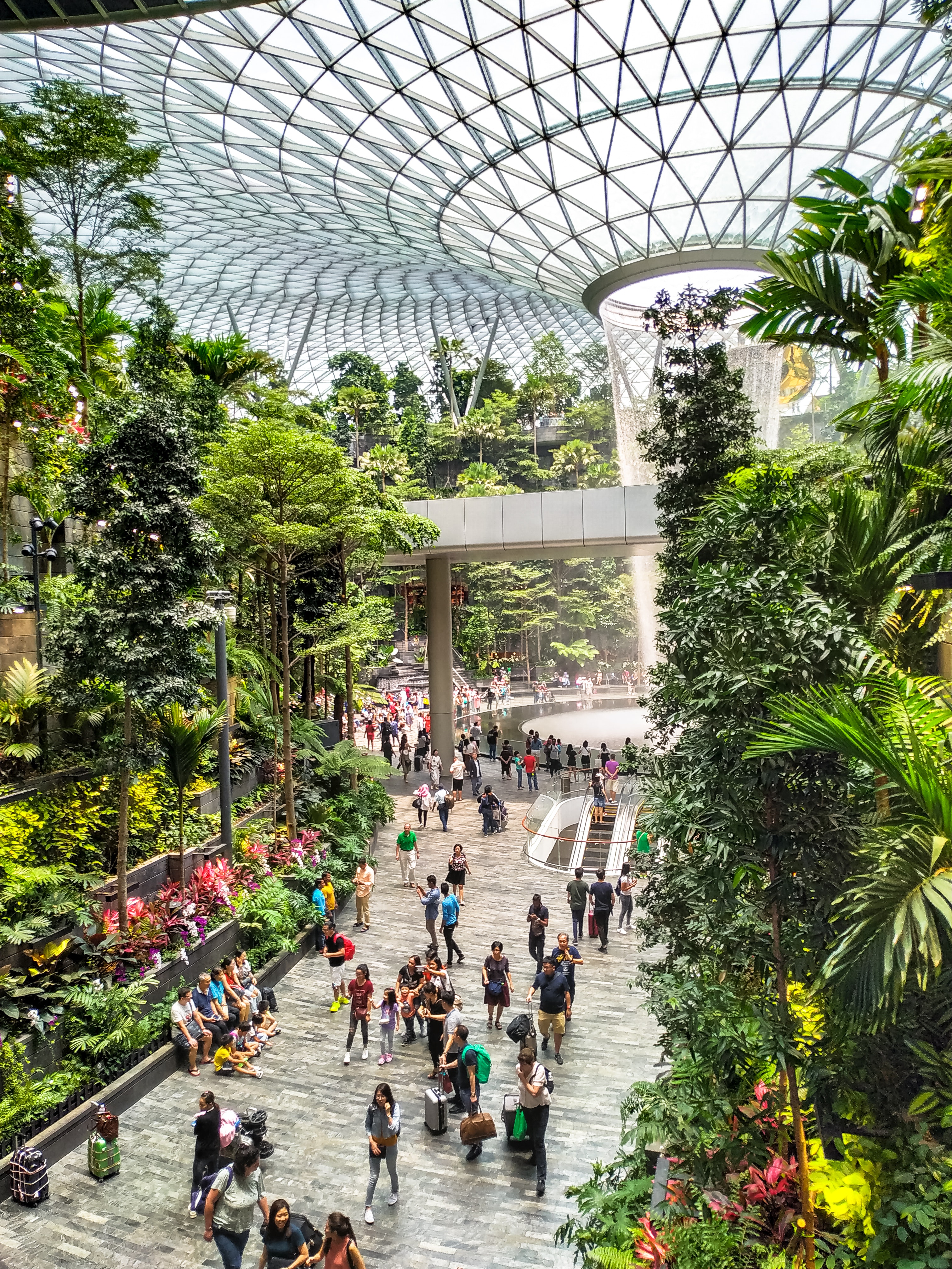 Why Singapore is a Great Study-Abroad Destination: Safe, Multicultural, and Thriving
