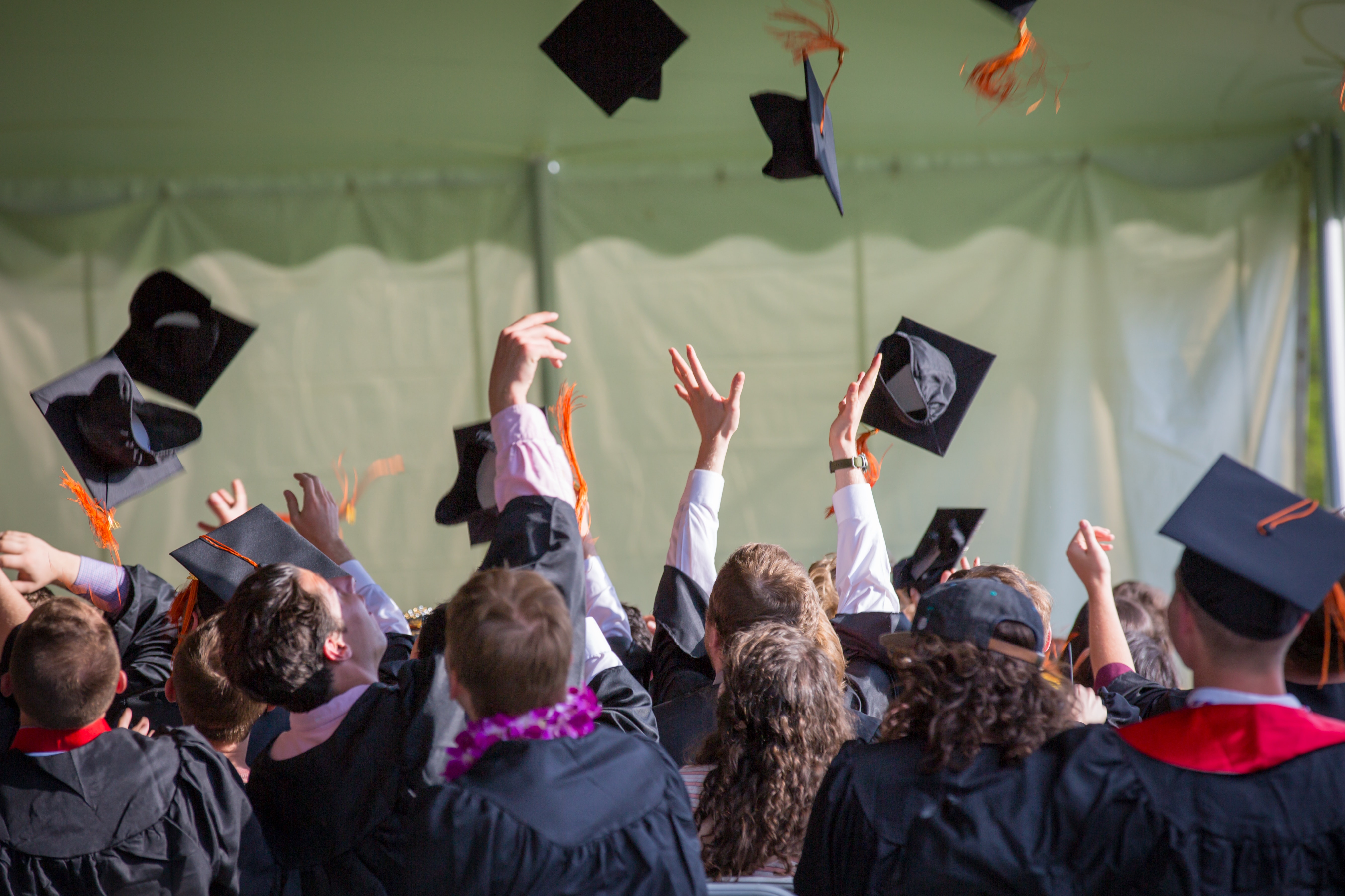 Exploring Popular Post-Graduate Programs: A Guide to Choosing the Right Program for You